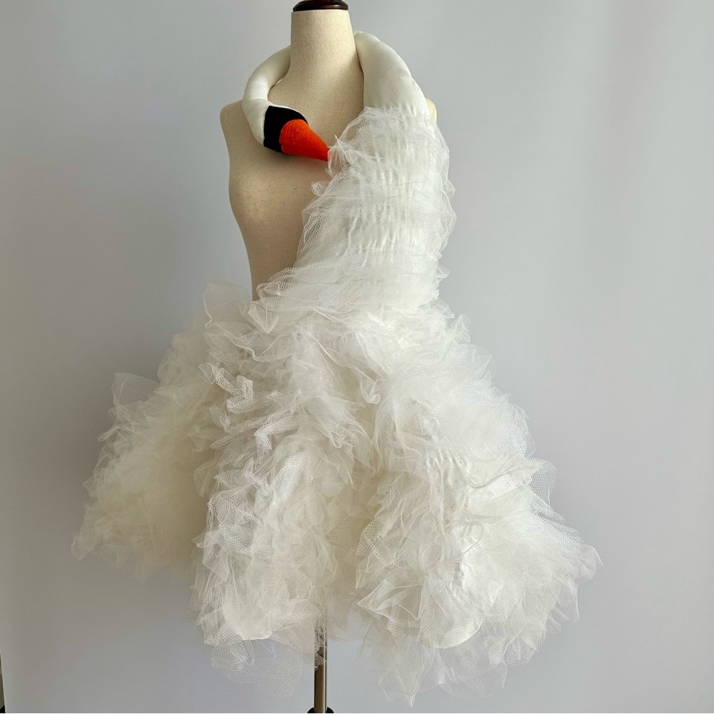 Björk Swan Halloween Costume (Size 0, Waist 24”)